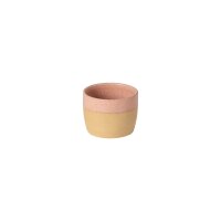 Sedéa – Cappuccino Cup Rosa